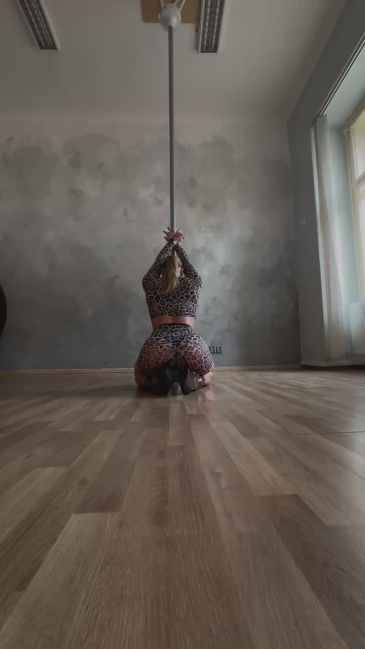 Mesh crop top Pavi | Activewear | Color: leopard mesh | Gymnastics crop top | Tylový crop top s dlouhým rukávem | Long Sleeve Crop Top | Dragonfly Pole Dance Clothing and Yoga Wear | Oblečení na Pole Dance a Hot jógu | Pole Dance und Hot Yoga Kleidung | T